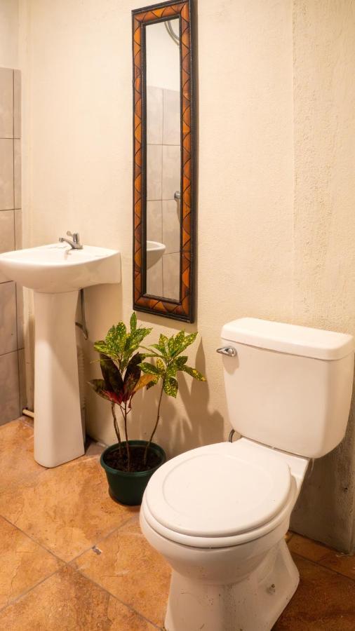 Eco Hotel Puerto Urbano 436 San Jose  Luaran gambar
